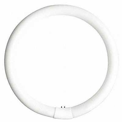 Circular Fluorescent Lamps image